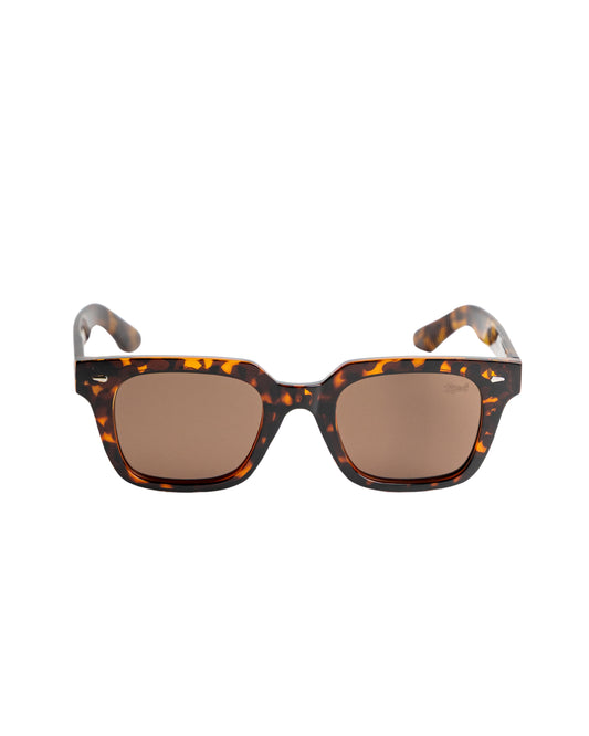 Óculos de sol Turim Animal Print